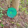 04 Aktion April 25 Feen und Wichtelwald